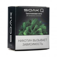 Упаковка сменных картриджей Soak Q Тростниковая мята 4,8 мл 2% (Предзаправленный картридж) (В упаковке 2 шт)